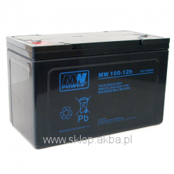 MW Power MWL 100-12h (12V 100Ah)